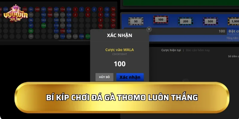 Bí kíp chơi Đá Gà Thomo luôn thắng